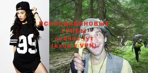 молекула духа Баксан