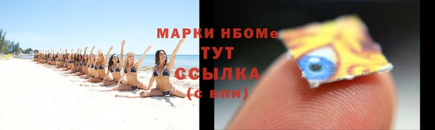 трава Балахна