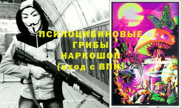 трава Балахна